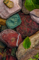 Leaf in Rocks II Photo