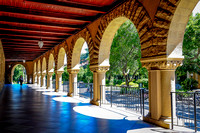 Stanford Walkway Photo