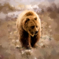Grizzly II WP