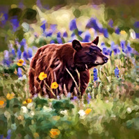 Bear Wildflowers OA