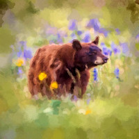 Bear in Wildflowers WP