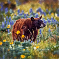 Bear in Wildflowers CB