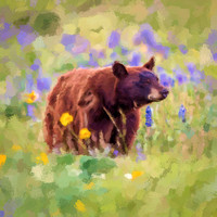 Bear in Wildflowers PP