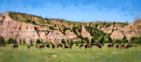 Bison and Prairie Dogs WP