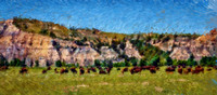 Bison and Prairie Dogs BIL