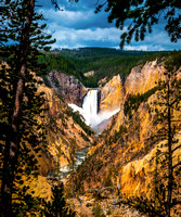 Yellowstone Falls I Photo