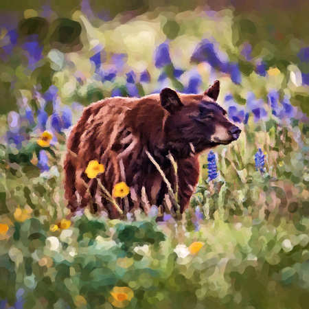 Bear Wildflowers OA